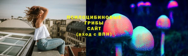 spice Бородино