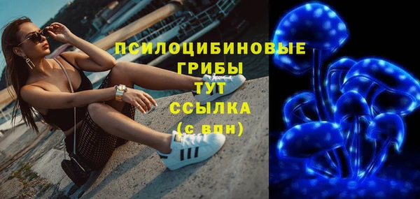 spice Бородино