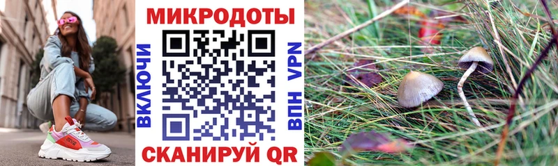 Галлюциногенные грибы Magic Shrooms Глазов