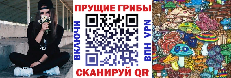 Купить закладки  Глазов  Галлюциногенные грибы Magic Shrooms 